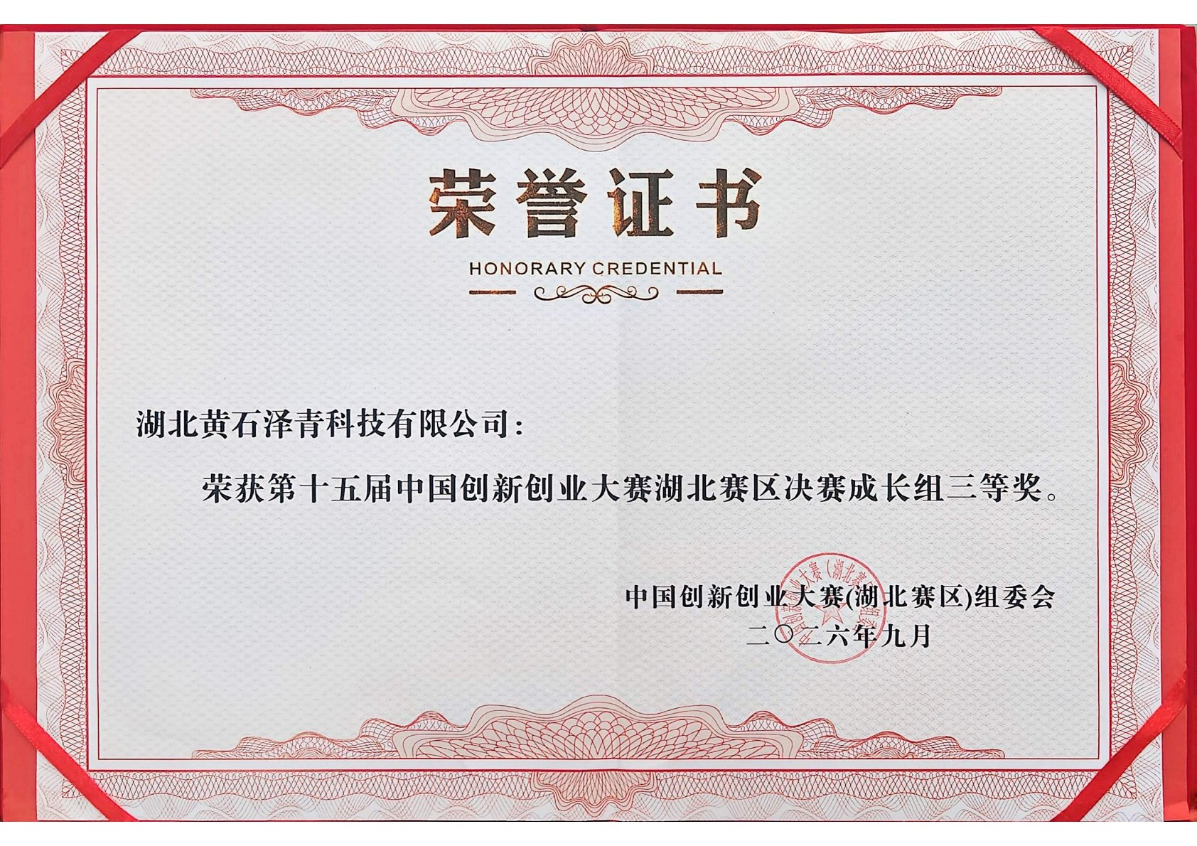 中国创新创业大赛湖北赛区决赛三等奖